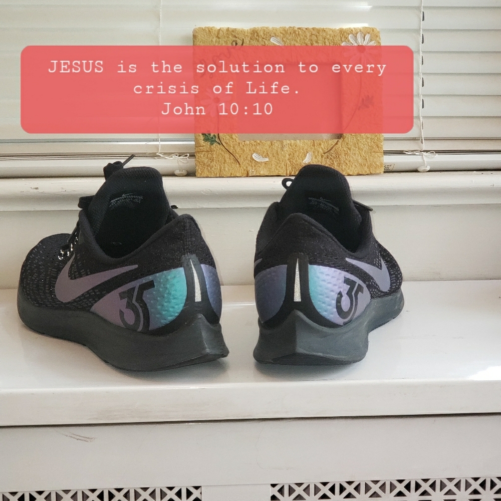Nike zoom pegasus  sneakers